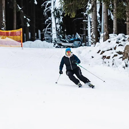 Osada Seidorf 4* Карпач